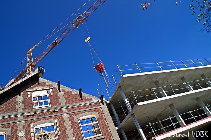 Chantier Bois Petit 0008