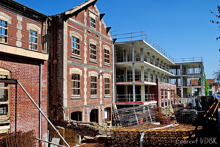 Chantier Bois Petit 0009