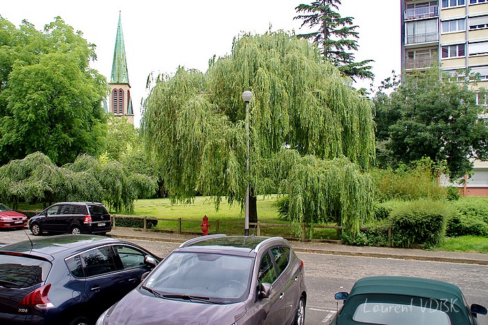 Eglise Notre-dame-de-l'Assomption