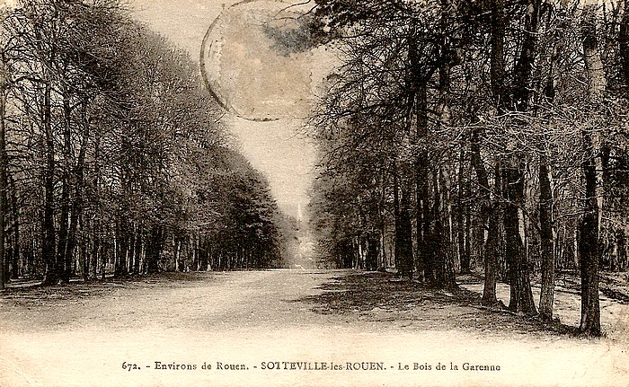 Bois de la Garenne - Sotteville-lès-Rouen