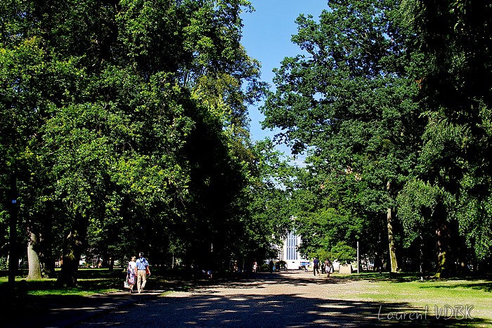 Bois de la Garenne - Sotteville-lès-Rouen