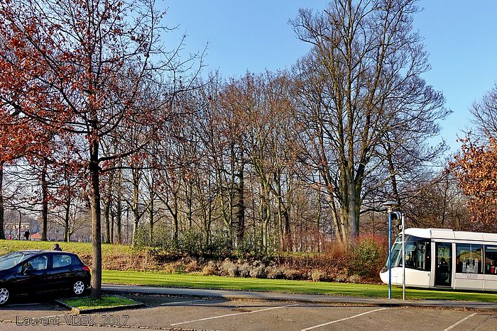 Sotteville-lès-Rouen, avenue Jean Jaurès